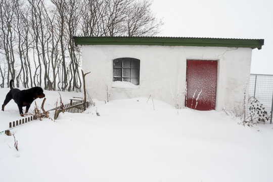 100219 - Mer Snö På Väg