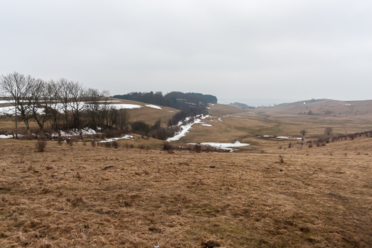 100317 - Fortfarande Snö