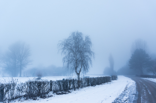 130315 - Foggy Morning