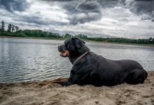 130529 - Lake Järavallen