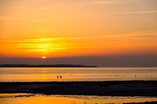 180408 - Sunset Fishing